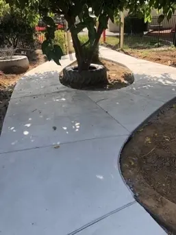 Project Evatt Primary School - Access Works